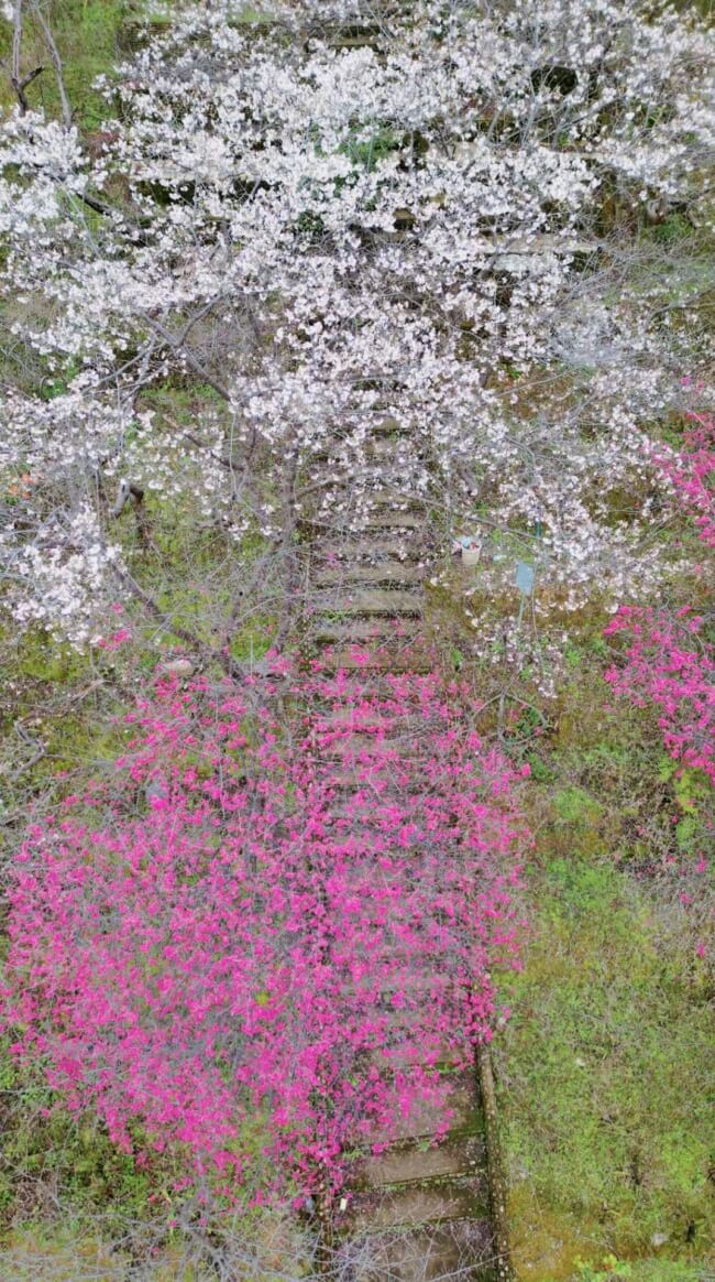 实用的日常生活窍门与家庭整理方法