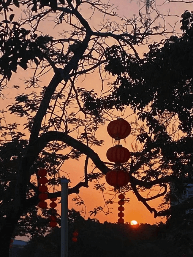 环保生活小妙招 - 省钱又环保的日常秘籍