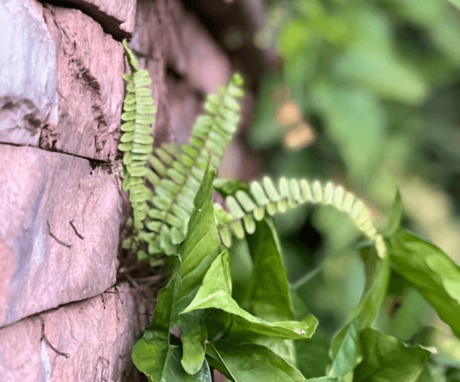 节约用水实用技巧有哪些内容